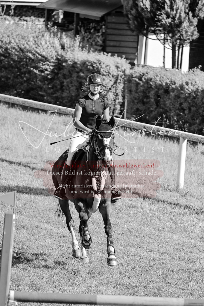 DSC_2017 | Pferde- und Turnierfotografie in Westsachsen. Pferdeportraits, Auftragszeichnungen und intuitive Kunst.