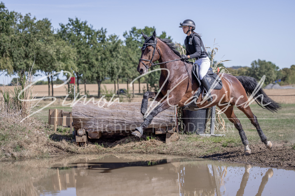 20260906-_3LI4232 | Tierfotografie Pferde, Hunde, Katzen, Haustiere.
Turnierfotografie Reitturniere, Reiten, Springreiten, Dressur in Hanau, dem Main-Kinzig-Kreis und dem Rhein-Main- Gebiet um Frankfurt