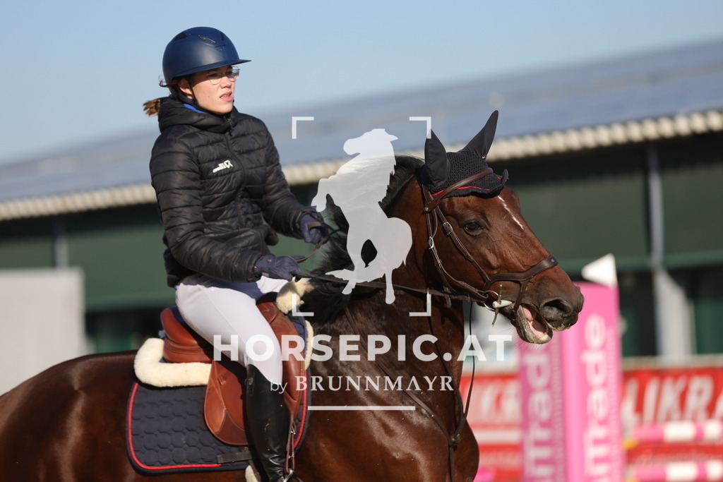 0P6A8857 | Willkommen bei Brunnmayr - Design & Fotografie – Ihrem Spezialisten für Reitturniere und Pferdeveranstaltungen in Oberösterreich, Salzburg und Bayern! Seit über 17 Jahren sind wir leidenschaftlich dabei.