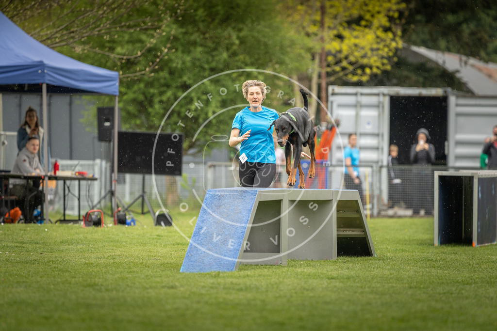 Pfotenfotografie_DV3A2977 | Hundefotografie, Tierfotograf, Pfotenfotografie, Fotoshooting Hund, Hunde Portrait, Hundesport, Hundeportraits, Heideshooting, Hunde, Sportfotograf, Hundefotograf, Turnierhundsport, THS,  - Realisiert mit Pictrs.com