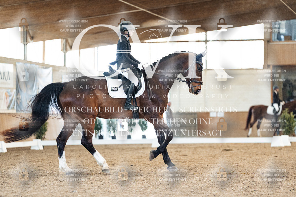 CK908488 | Turnierfotografie Pferdefotografie Trier Rheinland-Pfalz Pferdesport Reitsport Tierfotografie Sportfotografie Pferdevideo Pferdevideografie Equestrianvideography equestrianphotography  - Realized with Pictrs.com