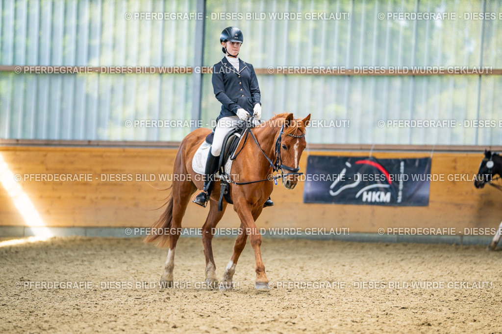 DSC03422 | Pferdegrafie