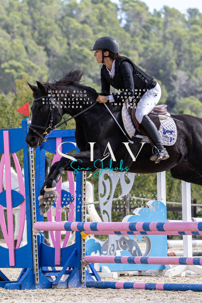 IMG_2503 | s-jay-photography - Realisiert mit Pictrs.com