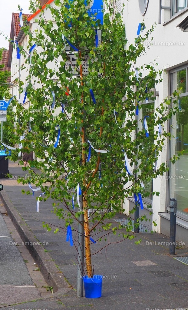 P8040075b | Fotogalerie & Shop für www.DerLemgoer.de - Mit Vorschau und Bestellmöglichkeit meiner Fotos von verscchiedenen Events in Lemgo / Lippe & OWL.