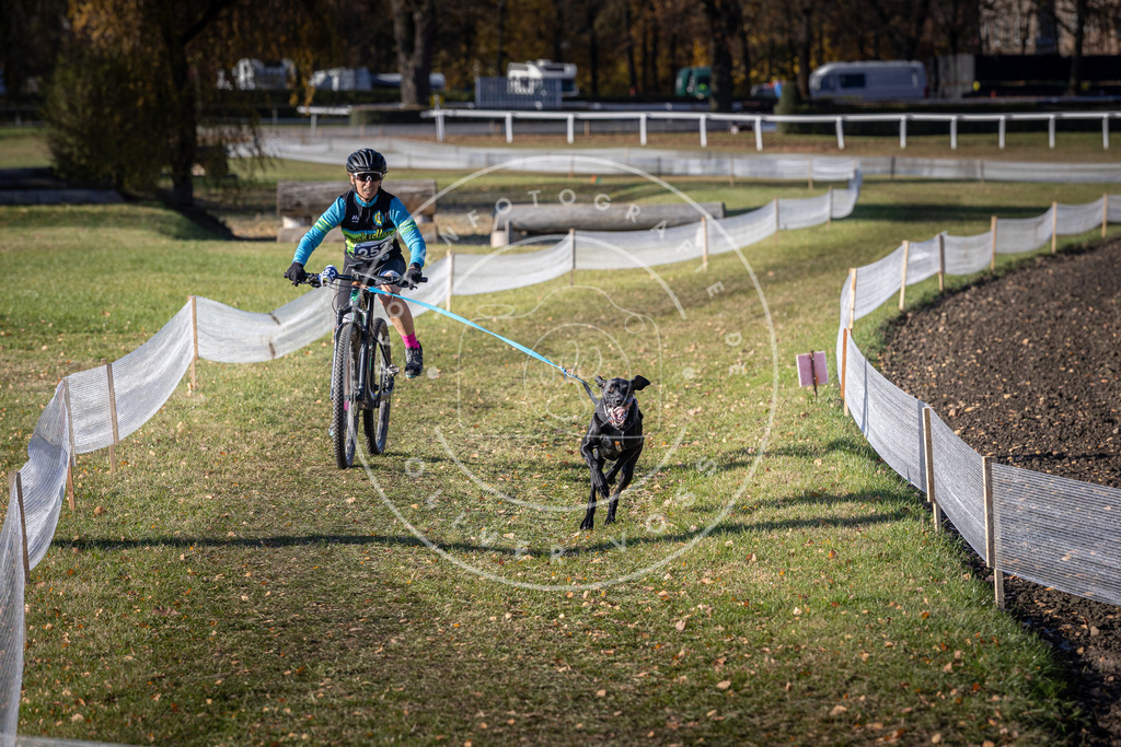 CaniXpix_DV3A4622 | Hundefotografie, Tierfotograf, Pfotenfotografie, Fotoshooting Hund, Hunde Portrait, Hundesport, Hundeportraits, Heideshooting, Hunde, Sportfotograf, Hundefotograf, Turnierhundsport, THS,  - Realisiert mit Pictrs.com