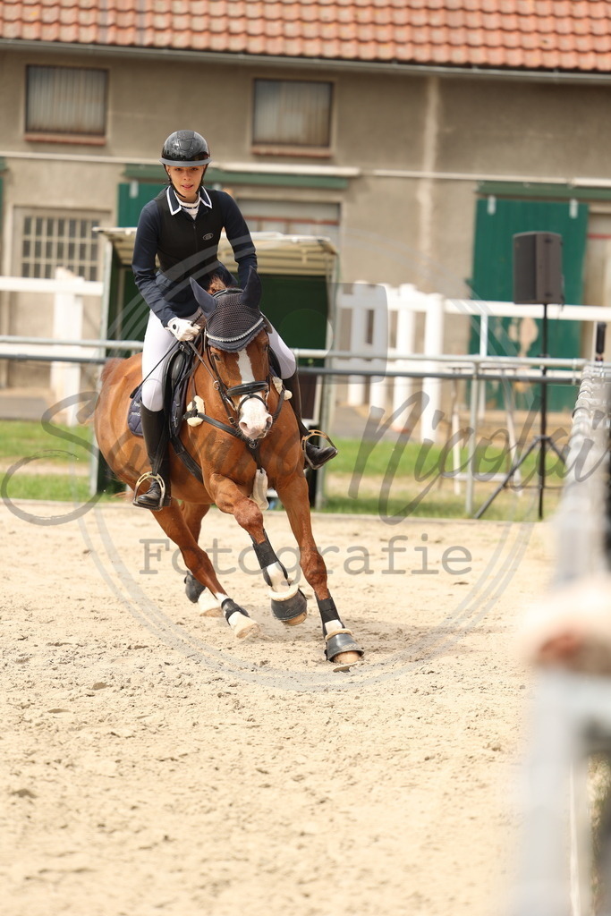 994A8934 | sabrinanicolaifotografie - Realisiert mit Pictrs.com