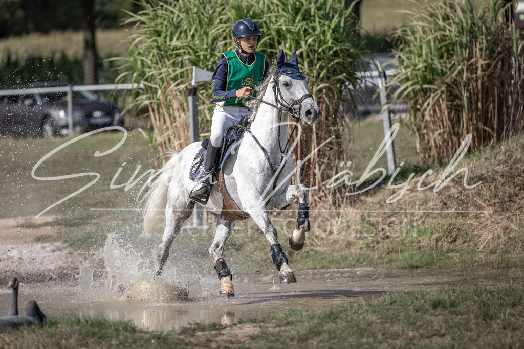 20250907-_3LI1932 | Tierfotografie Pferde, Hunde, Katzen, Haustiere.
Turnierfotografie Reitturniere, Reiten, Springreiten, Dressur in Hanau, dem Main-Kinzig-Kreis und dem Rhein-Main- Gebiet um Frankfurt