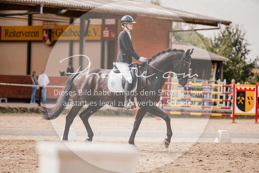 3I6A6077 | Stimmungsvolle Portraits und Reitsportfotografie im Ruhrgebiet und im Münsterland.

Pferdefotografie, Hundefotografie, Tierfotografie, Reportagen, Portraits von Tier und Mensch, Turnierfotografie in Bochum, Recklinghausen, Marl, Haltern am See, Dülmen.. - Realisiert mit Pictrs.com