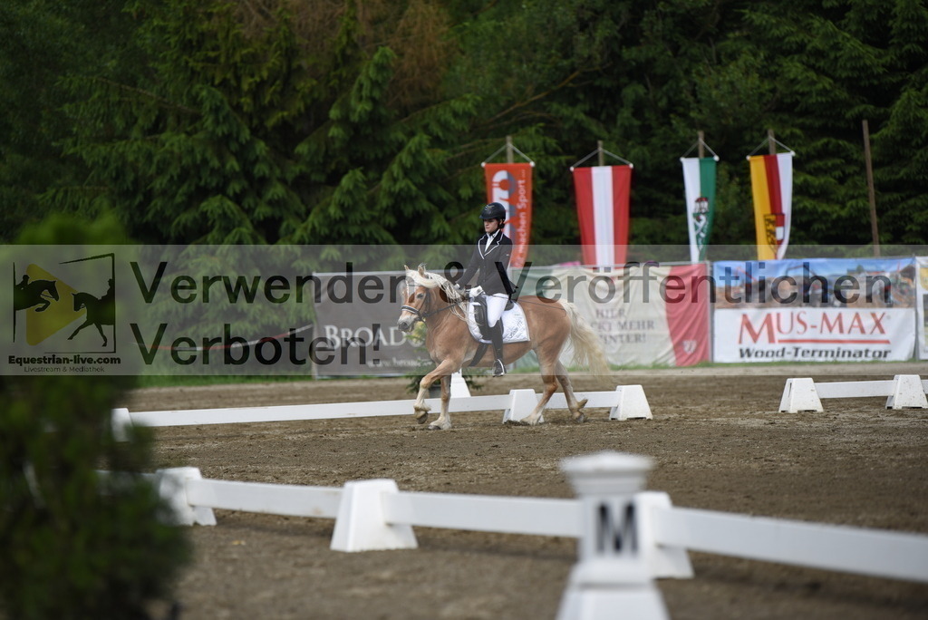 DSC_7742 | equestrian-live-com