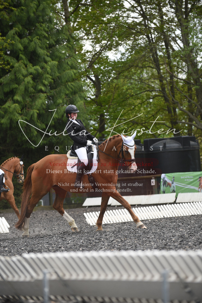 20230513_JK-Röhrsdorf-16-120 | Pferde- und Turnierfotografie in Westsachsen. Pferdeportraits, Auftragszeichnungen und intuitive Kunst.