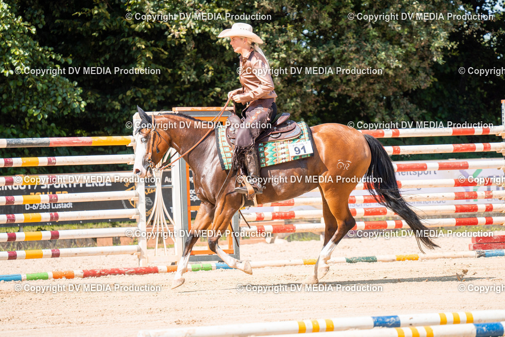 ZH100684 | dv-media-shop - Realisiert mit Pictrs.com