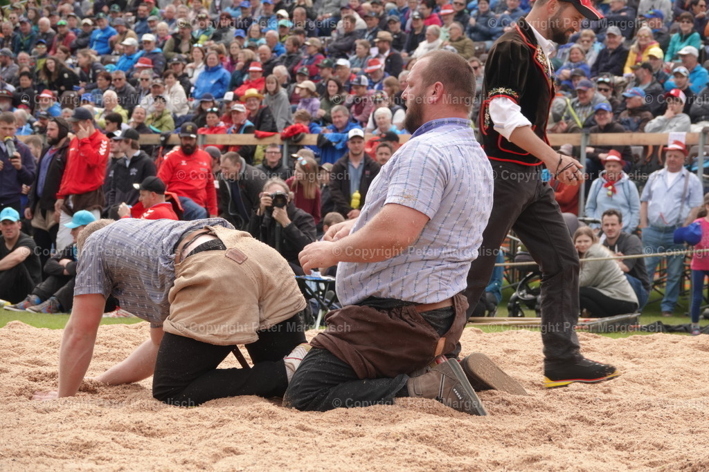 DSC04099 | Schwingen - Realisiert mit Pictrs.com