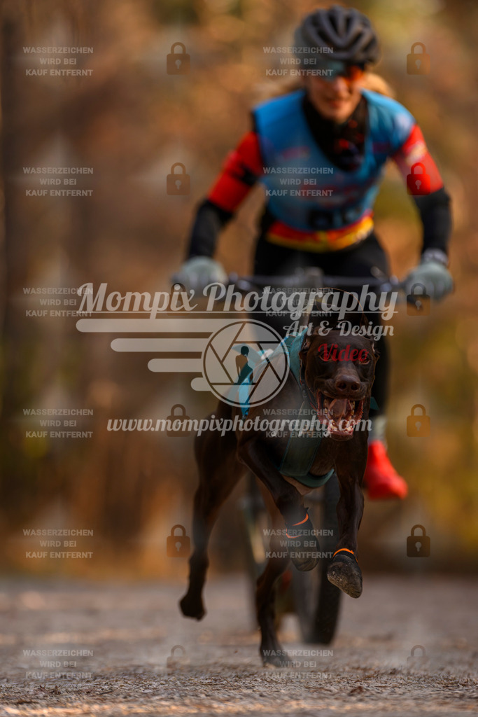MompixPhotography_DM_AKDM_SO_2025_Scooter-74 | PayLife
