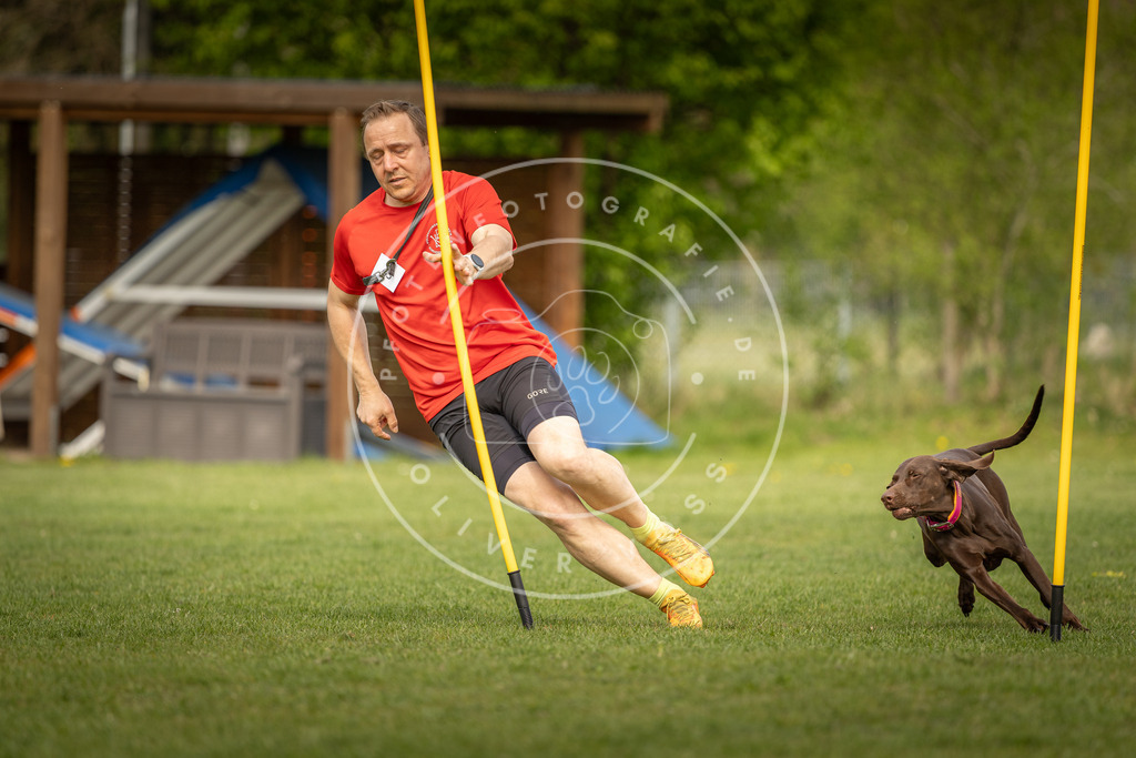 Pfotenfotografie_DV3A5277 | Hundefotografie, Tierfotograf, Pfotenfotografie, Fotoshooting Hund, Hunde Portrait, Hundesport, Hundeportraits, Heideshooting, Hunde, Sportfotograf, Hundefotograf, Turnierhundsport, THS,  - Realisiert mit Pictrs.com