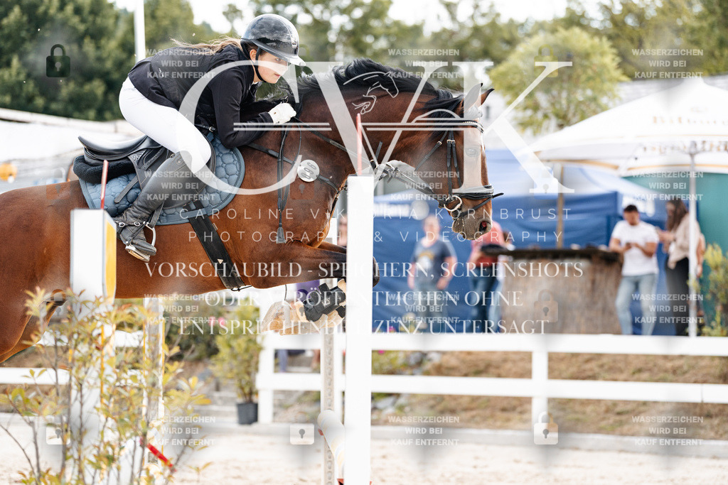 CK902581 | Turnierfotografie Pferdefotografie Trier Rheinland-Pfalz Pferdesport Reitsport Tierfotografie Sportfotografie Pferdevideo Pferdevideografie Equestrianvideography equestrianphotography  - Realisiert mit Pictrs.com