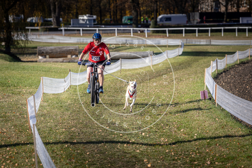 CaniXpix_DV3A4998 | Hundefotografie, Tierfotograf, Pfotenfotografie, Fotoshooting Hund, Hunde Portrait, Hundesport, Hundeportraits, Heideshooting, Hunde, Sportfotograf, Hundefotograf, Turnierhundsport, THS,  - Realisiert mit Pictrs.com