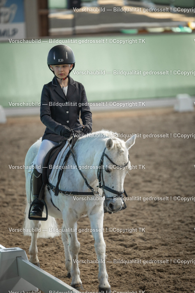 _D5A8692 | Emotionale Pferde- & People-Fotografie rund um Heidelberg, Leimen & Umgebung. Natürliche Fotos von Pferd, Mensch & Familie. Jetzt Termin sichern!