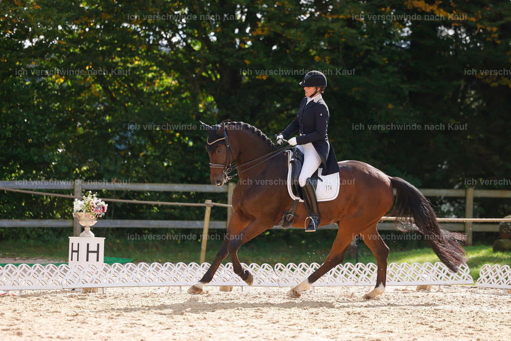 09_2-174-DRESSUR  S_  -StoibPH-5781 | working equitationturnier fotograf videograf stoibphotography marixx film working equitation deutschland reitsport turnierfotografie eventfotografie equestrian events