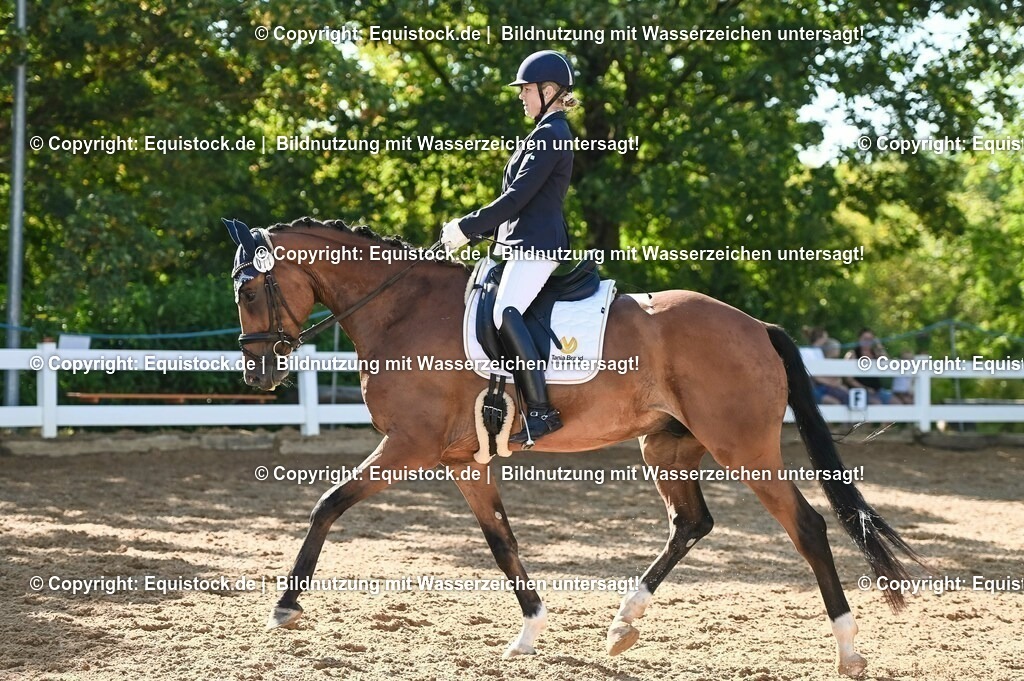 20230715_06_Dressurpferdeprfg. Kl.A_0202 | equistock