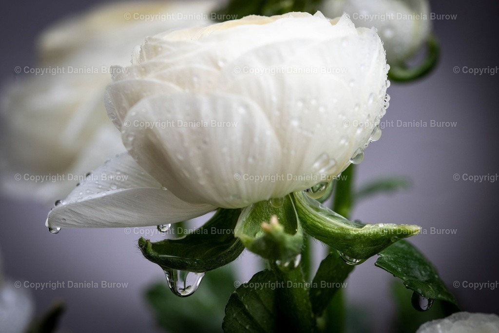 Sonntag 3m | danielaburow - Realisiert mit Pictrs.com