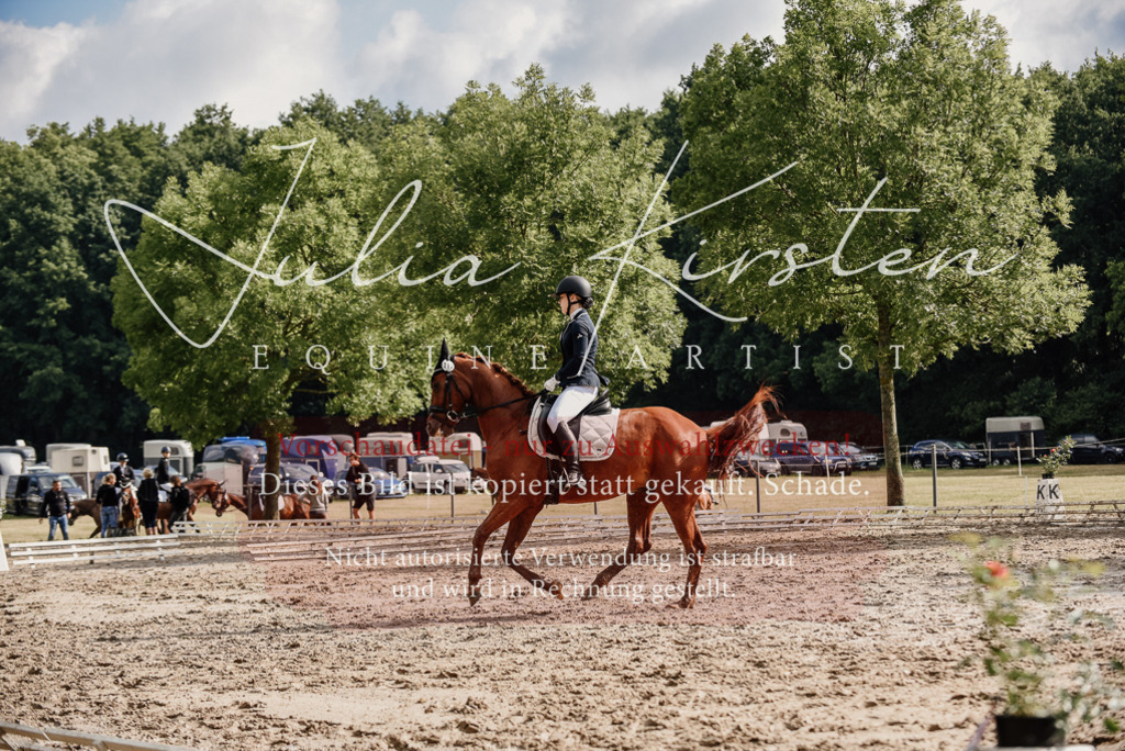 DSC_8925 | Pferde- und Turnierfotografie in Westsachsen. Pferdeportraits, Auftragszeichnungen und intuitive Kunst.