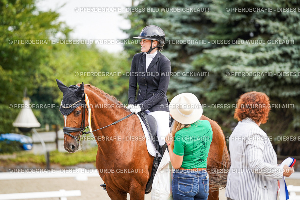 DSC02321 | Pferdegrafie