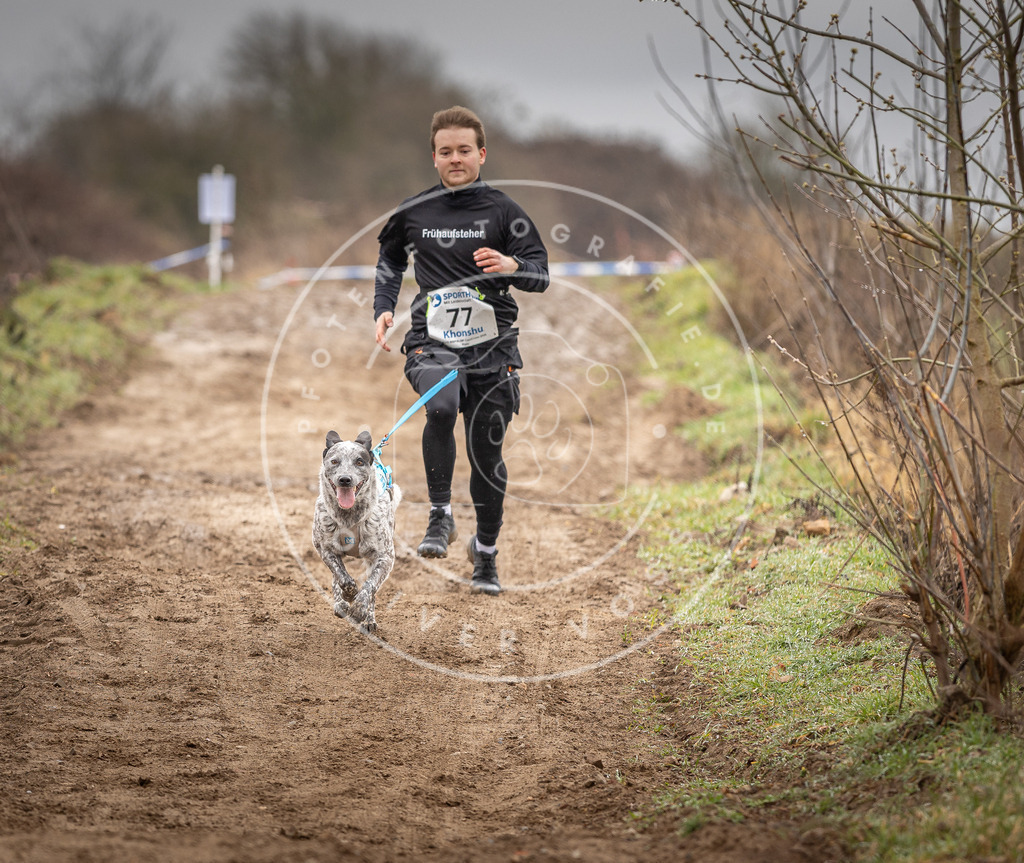 DV3A9791 | Hundefotografie, Tierfotograf, Pfotenfotografie, Fotoshooting Hund, Hunde Portrait, Hundesport, Hundeportraits, Heideshooting, Hunde, Sportfotograf, Hundefotograf, Turnierhundsport, THS,  - Realisiert mit Pictrs.com