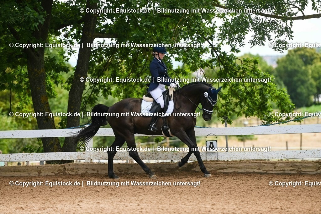 20230716_03_Dressurprfg. Kl.L - Tr._0618 | equistock
