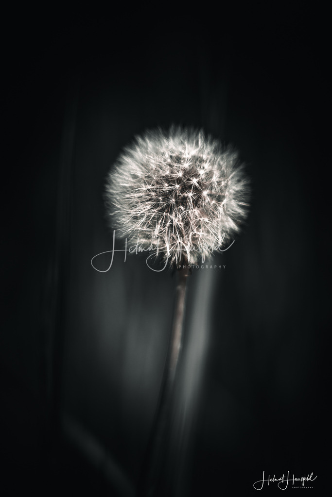 DSC08228 | Landschaftsfotografie, Naturfotografie - Realisiert mit Pictrs.com