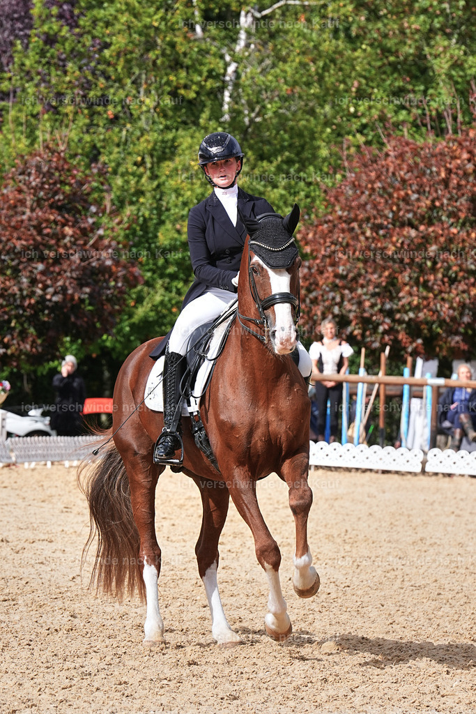 07-201-DRESSUR  S___  -Marixx-5169 | working equitationturnier fotograf videograf stoibphotography marixx film working equitation deutschland reitsport turnierfotografie eventfotografie equestrian events