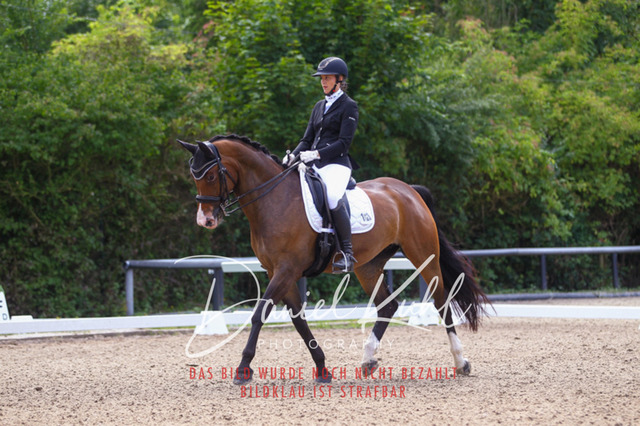 DKP40889 | Turniersportfotografie; Pferdefotografie; Dressurfotografie