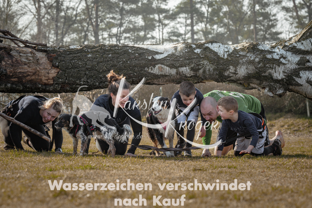 1010_ZZ91537-Bearbeitet | kk-dogfotos