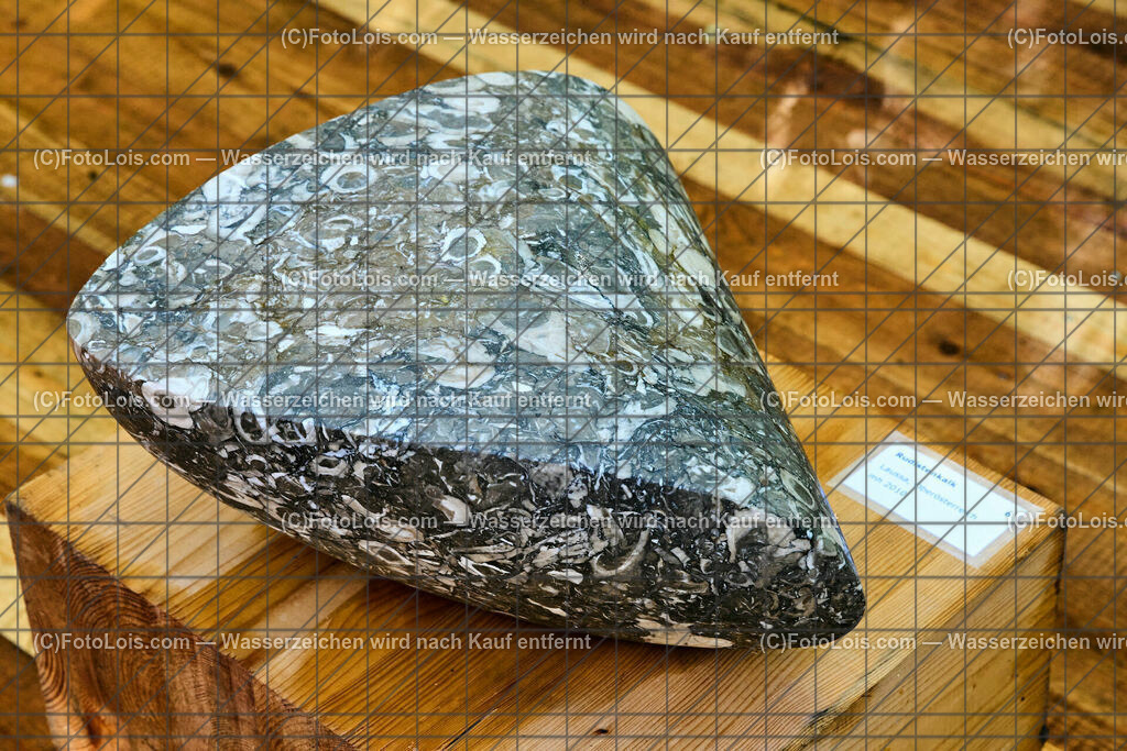 ALP1449_TdoA-NOe_SteinSkulpturen_Rudistenkalk | (C)FotoLois.com, Alois Spandl, NÖ-Tage der offenen Ateliers, STEINSKULPTUREN von Maria HEINRICH, präsentiert im rothschild'schen Glassalon - am Sonntag mit musikalischer Untermalung von LIUNZE BRASS - sozusagen 'Das klingende offene Atelier der Steinskulpturen' in Langau/Maierhöfen, So 16. Oktober 2022.