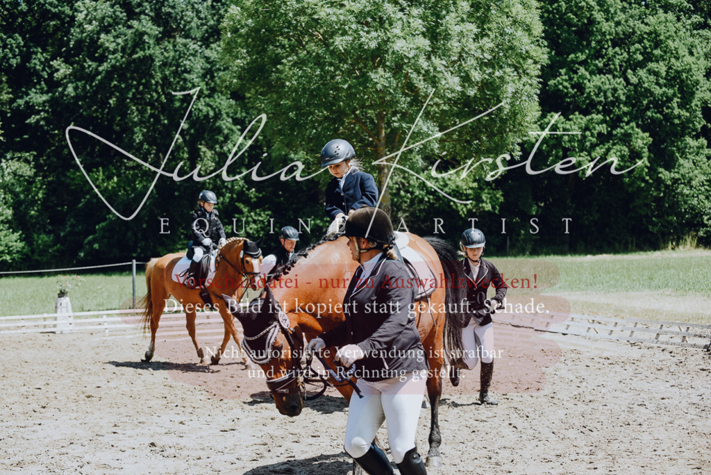 DSC_2604 | Pferde- und Turnierfotografie in Westsachsen. Pferdeportraits, Auftragszeichnungen und intuitive Kunst.