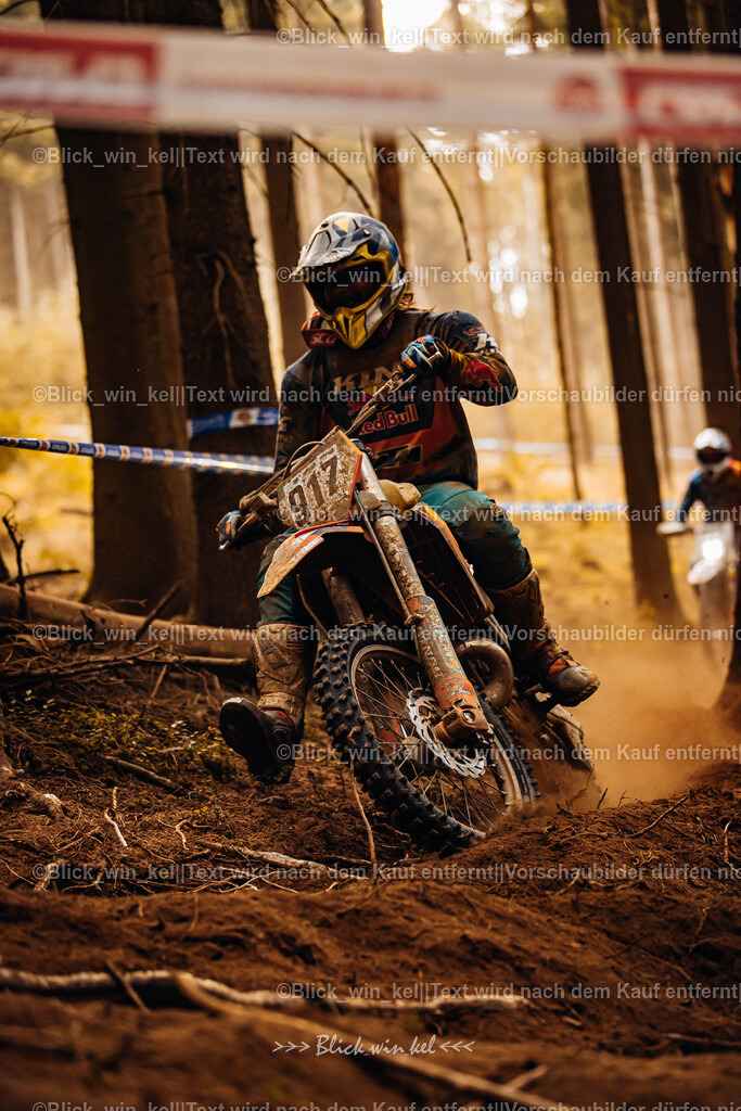 E68A5883 | blick_win_kel