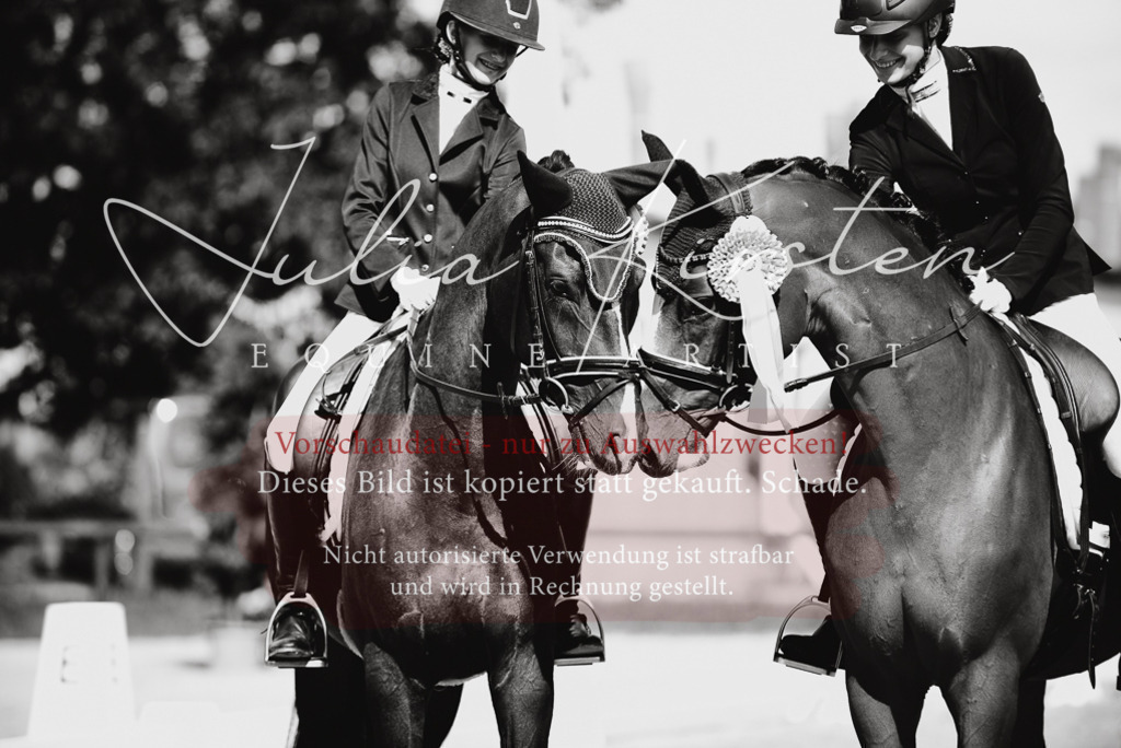 DSC_9800 | Pferde- und Turnierfotografie in Westsachsen. Pferdeportraits, Auftragszeichnungen und intuitive Kunst.