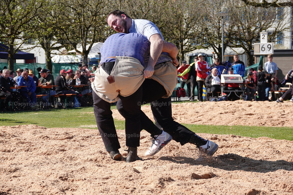 DSC02268 | Schwingen - Realisiert mit Pictrs.com