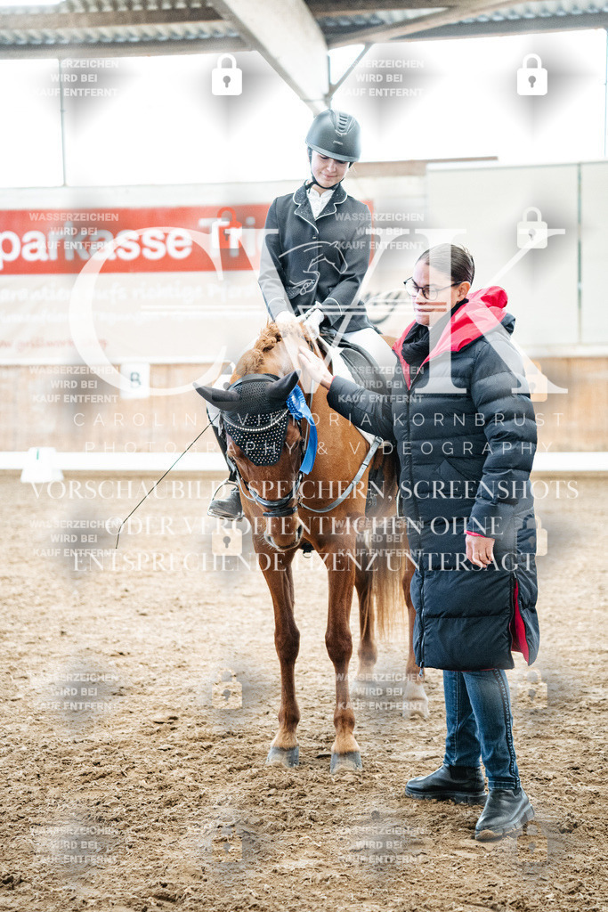 CK703031 | Turnierfotografie Pferdefotografie Trier Rheinland-Pfalz Pferdesport Reitsport Tierfotografie Sportfotografie Pferdevideo Pferdevideografie Equestrianvideography equestrianphotography  - Realized with Pictrs.com