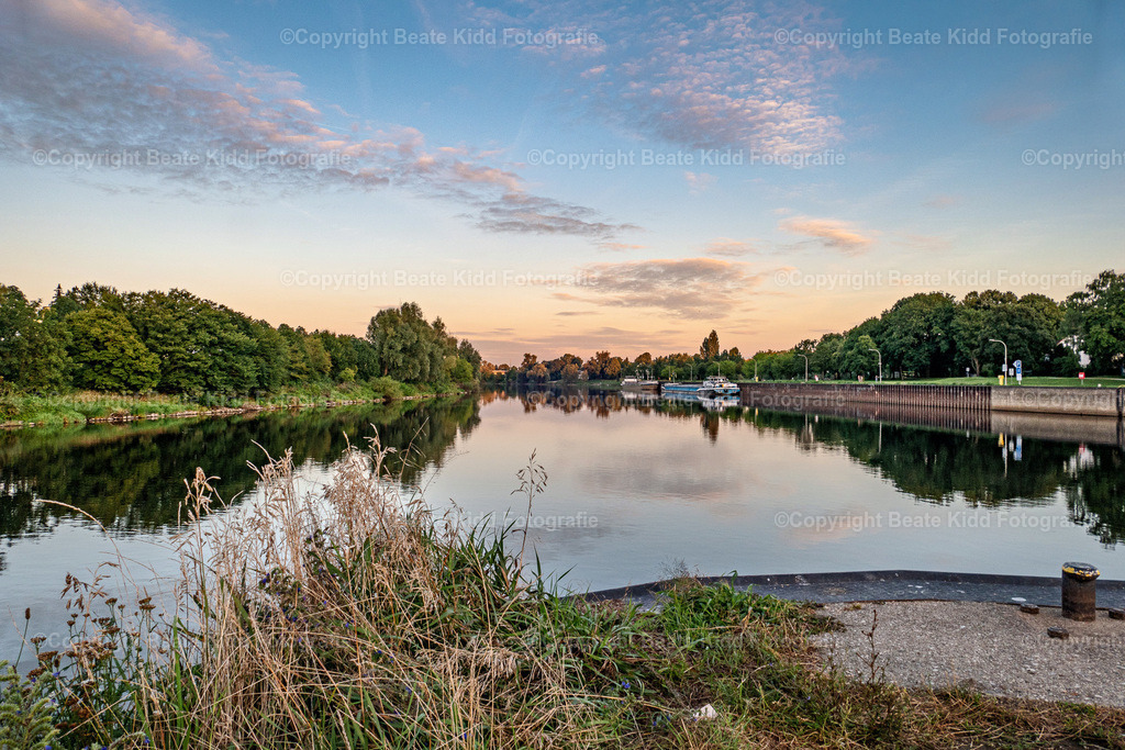 P2000204 | beatekidd-fotografie - Realisiert mit Pictrs.com