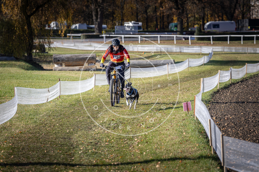 CaniXpix_DV3A5923 | Hundefotografie, Tierfotograf, Pfotenfotografie, Fotoshooting Hund, Hunde Portrait, Hundesport, Hundeportraits, Heideshooting, Hunde, Sportfotograf, Hundefotograf, Turnierhundsport, THS,  - Realisiert mit Pictrs.com