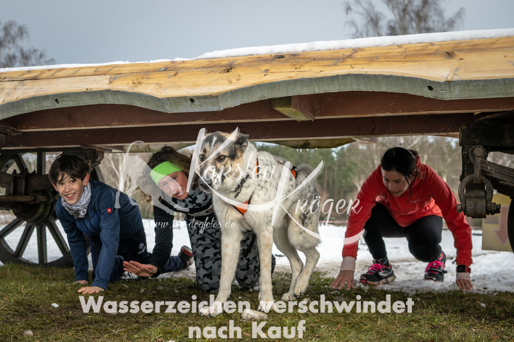 0933_ZZ90754 | kk-dogfotos