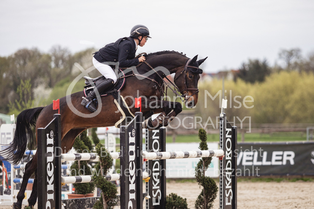 250417_Frühlingsfest_Springpferde-M-131 | Deine schönsten Turniermomente als professionelle Fotos! Entdecke hochwertige Pferdesport-Fotografie im Online-Shop. Jetzt Fotos finden & bestellen!