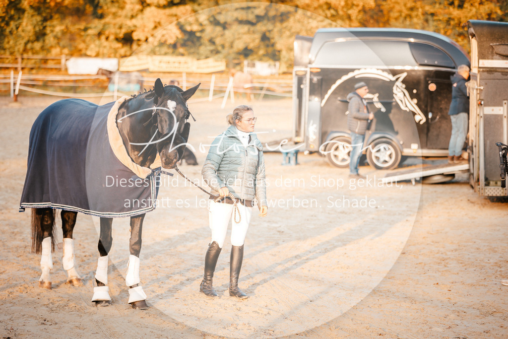 3I6A1261 | Stimmungsvolle Portraits und Reitsportfotografie im Ruhrgebiet und im Münsterland.

Pferdefotografie, Hundefotografie, Tierfotografie, Reportagen, Portraits von Tier und Mensch, Turnierfotografie in Bochum, Recklinghausen, Marl, Haltern am See, Dülmen.. - Realisiert mit Pictrs.com