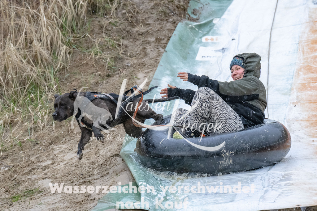 1538_ZZ90405 | kk-dogfotos