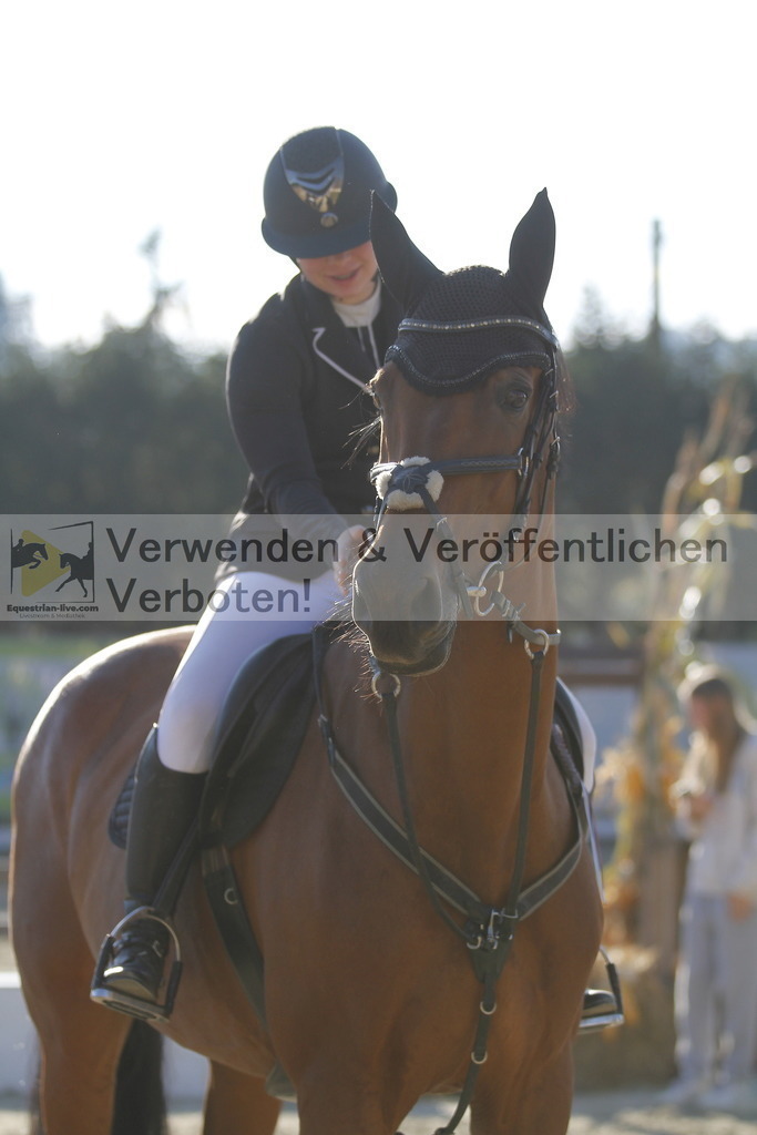 _MG_1226 | equestrian-live-com