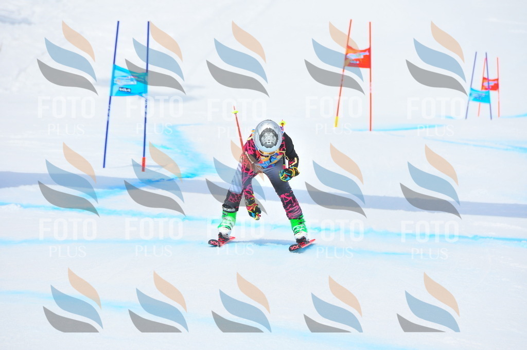 DSC_2520 | holidayphoto