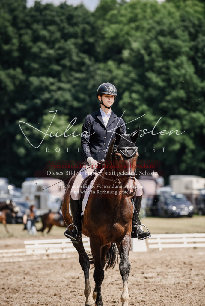 DSC_0806 | Pferde- und Turnierfotografie in Westsachsen. Pferdeportraits, Auftragszeichnungen und intuitive Kunst.