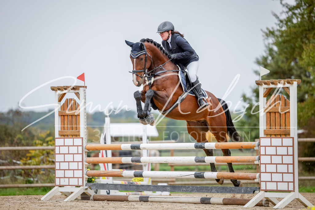 20251012-_3LI3623 | Tierfotografie Pferde, Hunde, Katzen, Haustiere.
Turnierfotografie Reitturniere, Reiten, Springreiten, Dressur in Hanau, dem Main-Kinzig-Kreis und dem Rhein-Main- Gebiet um Frankfurt