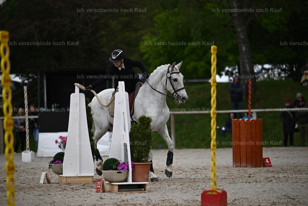 PI26_SP_Sara_Landvogt_226_4630.JPG | working equitationturnier fotograf videograf stoibphotography marixx film working equitation deutschland reitsport turnierfotografie eventfotografie equestrian events