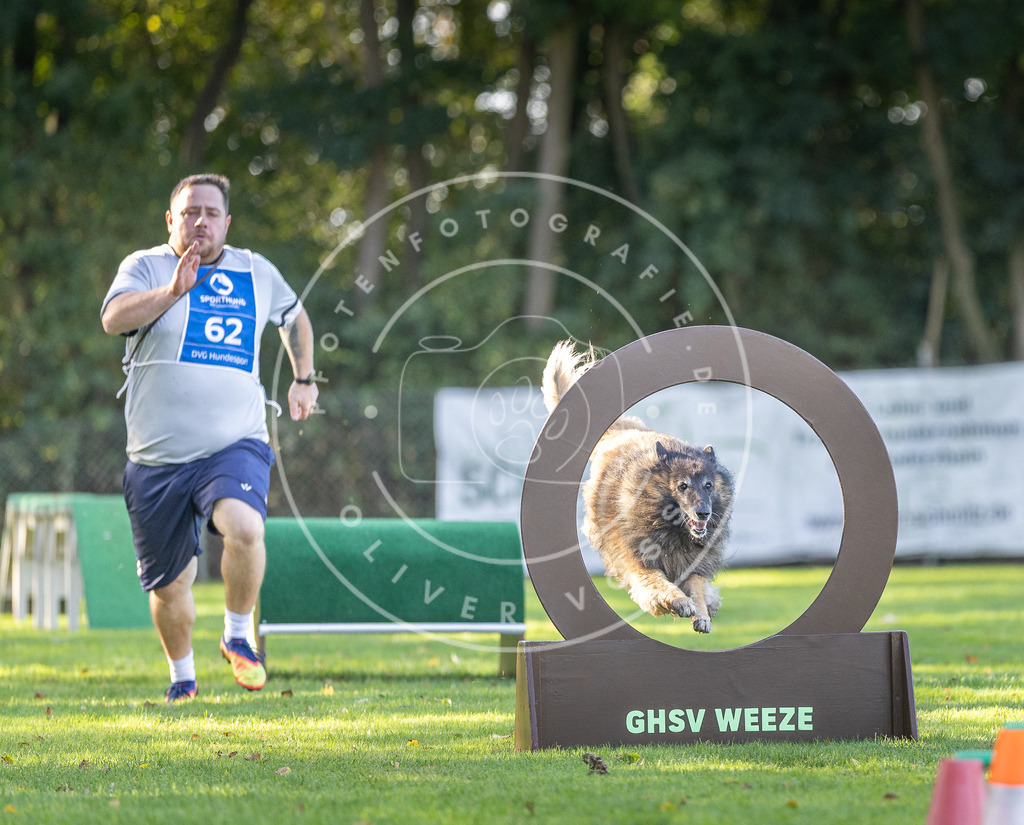 Pfotenfotografie.de_DV3A3630 | Hundefotografie, Tierfotograf, Pfotenfotografie, Fotoshooting Hund, Hunde Portrait, Hundesport, Hundeportraits, Heideshooting, Hunde, Sportfotograf, Hundefotograf, Turnierhundsport, THS, canicross - Realisiert mit Pictrs.com